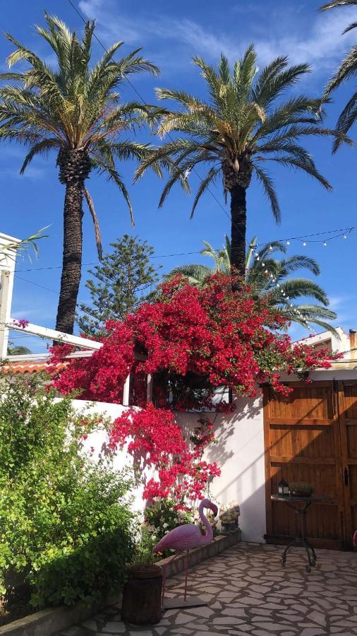 Lo Segador Guest House El Poblenou del Delta Exterior photo